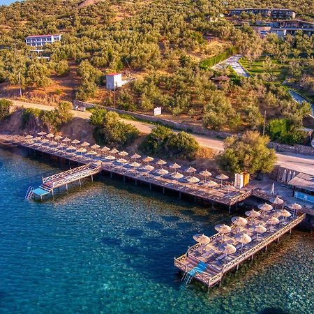 Assos Dionysos Special Class Hotel Adults Only 12 Years Luaran gambar